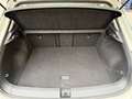 Volkswagen T-Roc 1.0 tsi Life 110cv Promo Fin Beige - thumbnail 12