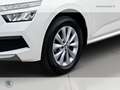Skoda Kamiq 1.0 tsi ambition 110cv Bianco - thumbnail 6