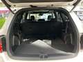 Kia Sorento 1,6 T-GDi Plug-In Hybrid GPF AWD Platin Aut. Weiß - thumbnail 9