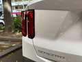 Kia Sorento 1,6 T-GDi Plug-In Hybrid GPF AWD Platin Aut. Weiß - thumbnail 10