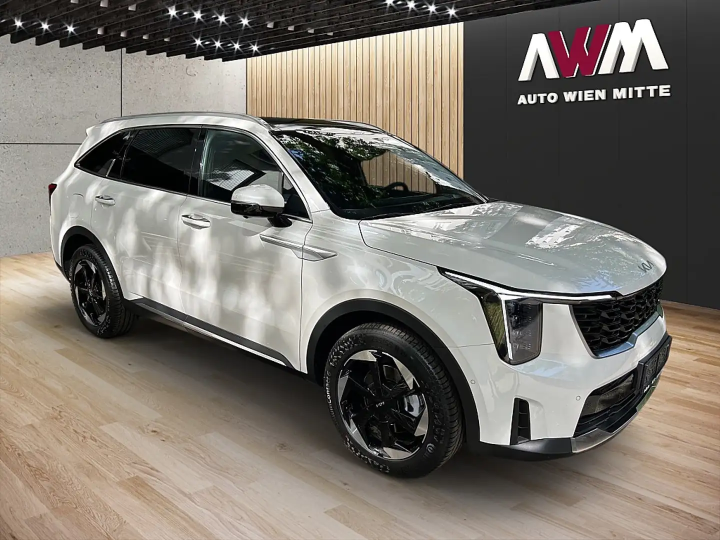 Kia Sorento 1,6 T-GDi Plug-In Hybrid GPF AWD Platin Aut. Weiß - 2