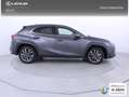 Lexus UX 300h F Sport Legend Gris - thumbnail 27