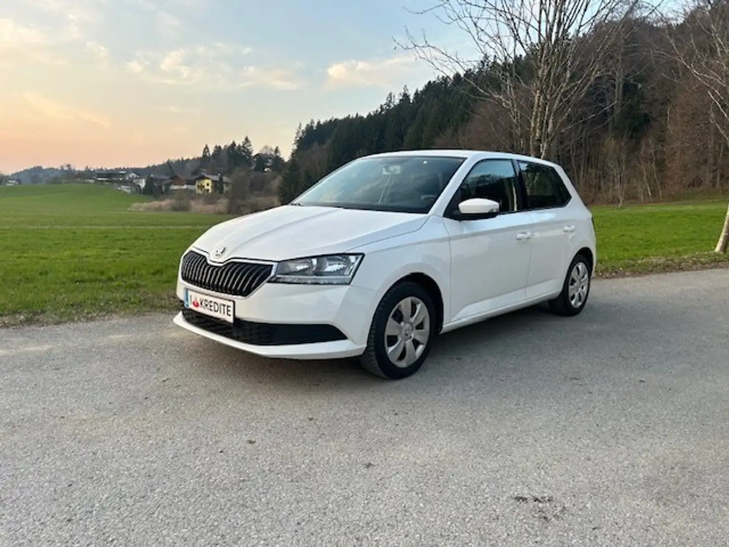 Skoda Fabia 8fach Bereift & möglicher SOFORTFINANZIERUNG !! Weiß - 1