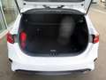 Kia Ceed / cee'd Vision Komfort+ Navi 1.0T 100 Digitales Cockpit Ap Weiß - thumbnail 11