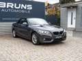 BMW 218 d Cabrio Advantage Automatik Leder PDC Gris - thumbnail 21