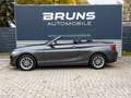 BMW 218 d Cabrio Advantage Automatik Leder PDC Gris - thumbnail 3