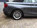 BMW 218 d Cabrio Advantage Automatik Leder PDC Gris - thumbnail 26