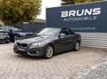 BMW 218 d Cabrio Advantage Automatik Leder PDC Gris - thumbnail 19