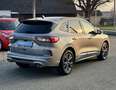 Ford Kuga ST Line - Allrad - Winterpaket - FahrerassP. Grau - thumbnail 11