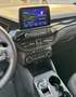 Ford Kuga ST Line - Allrad - Winterpaket - FahrerassP. Grau - thumbnail 32