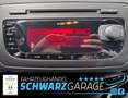 SEAT Ibiza Lim. Stylance / Style*PDC*ALU* Grau - thumbnail 10