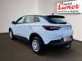 Opel Grandland X BUSINESS EDITION Top Modell ! Weiß - thumbnail 11