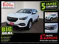 Opel Grandland X BUSINESS EDITION Weiß - thumbnail 1