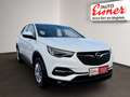 Opel Grandland X BUSINESS EDITION Weiß - thumbnail 17