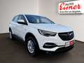 Opel Grandland X BUSINESS EDITION Top Modell ! Weiß - thumbnail 16