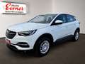 Opel Grandland X BUSINESS EDITION Weiß - thumbnail 3