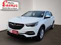 Opel Grandland X BUSINESS EDITION Top Modell ! Weiß - thumbnail 2