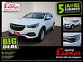 Opel Grandland X BUSINESS EDITION Top Modell ! Weiß - thumbnail 1