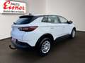 Opel Grandland X BUSINESS EDITION Top Modell ! Weiß - thumbnail 14