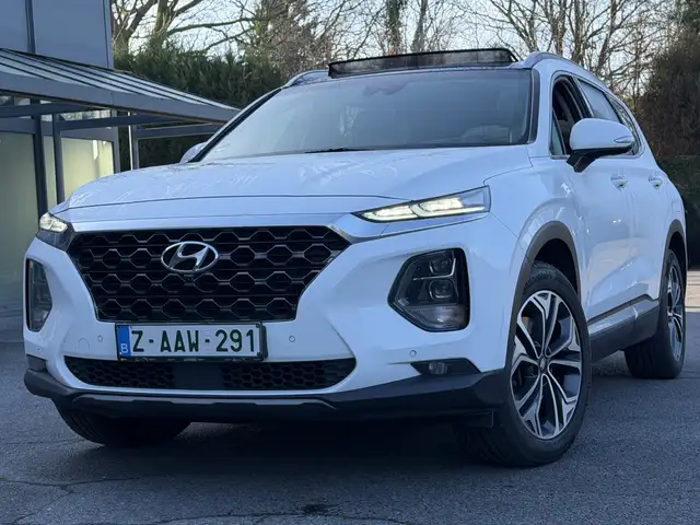 Hyundai Grand Santa Fe 2.2d  Executive-7p-Pano-360cam-Leder-Led-Full