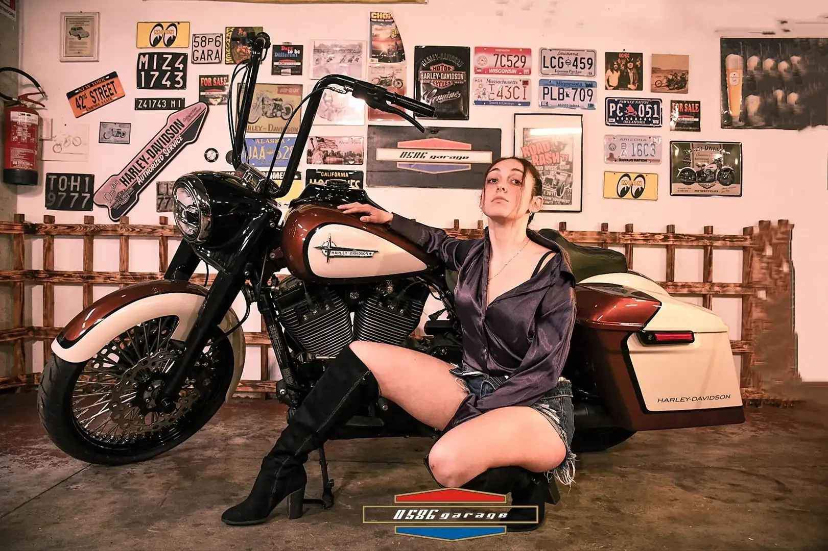 Harley-Davidson Road King 103 Marrone - 2