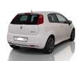 Fiat Punto 1.4 16V Sport 95PS /Tüv 11.26/1.HAND Weiß - thumbnail 4