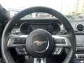 Ford Mustang Fastback 5.0 Ti-VCT Mach I Aut. - thumbnail 14