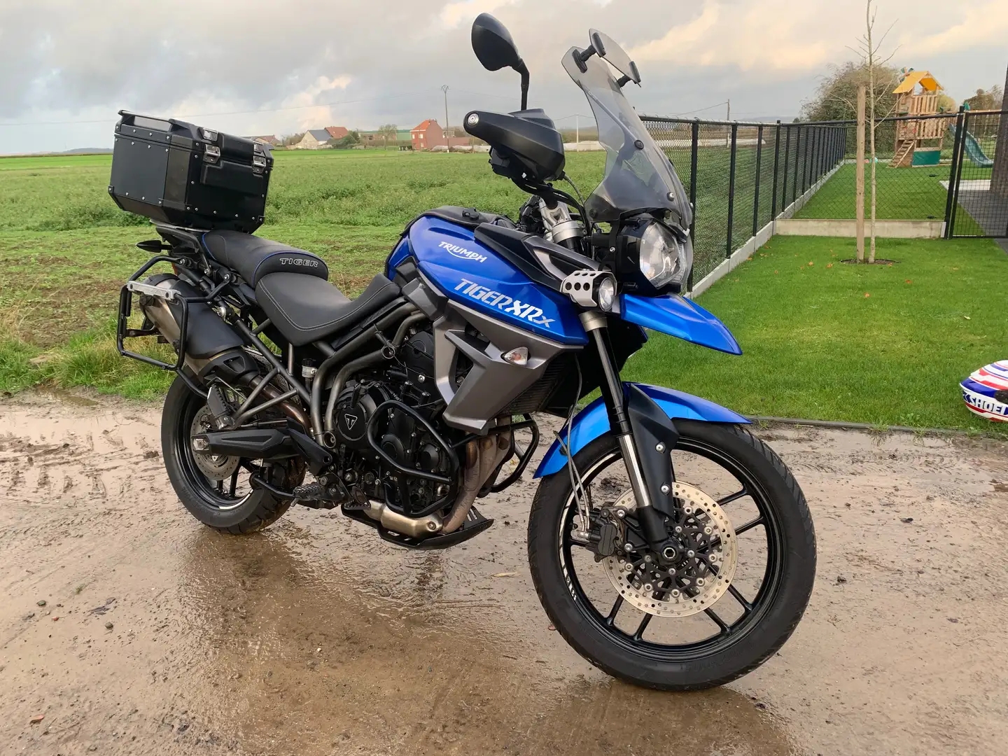 Triumph Tiger 800 Xrx Azul - 1
