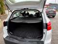 Ford Focus Turnier Business Blanc - thumbnail 12