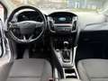 Ford Focus Turnier Business Blanc - thumbnail 8