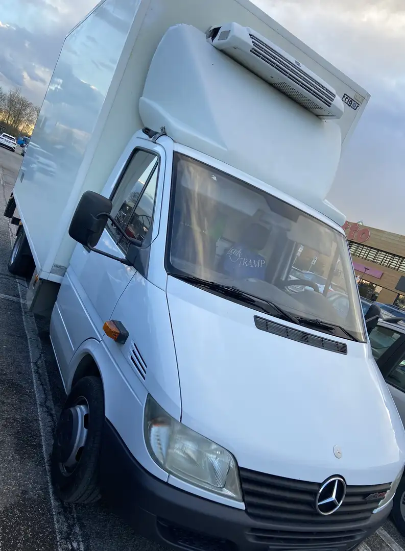 Mercedes-Benz Sprinter isotermico piu sponda idraulica Alb - 1