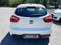 Kia Rio 1,2 MPI *Titan* 2015 Weiß - thumbnail 6