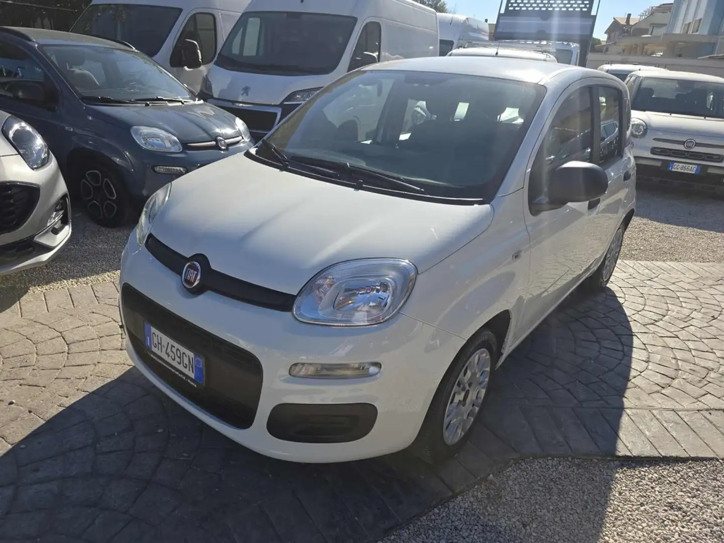 Fiat Panda 1.0 FireFly S&S Hybrid Eas 5 posti no obbligo fina Blanc - 1
