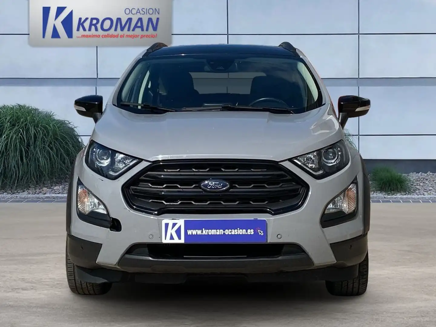 Ford EcoSport 1.0 EcoBoost S&S Active 125cv Gris - 2