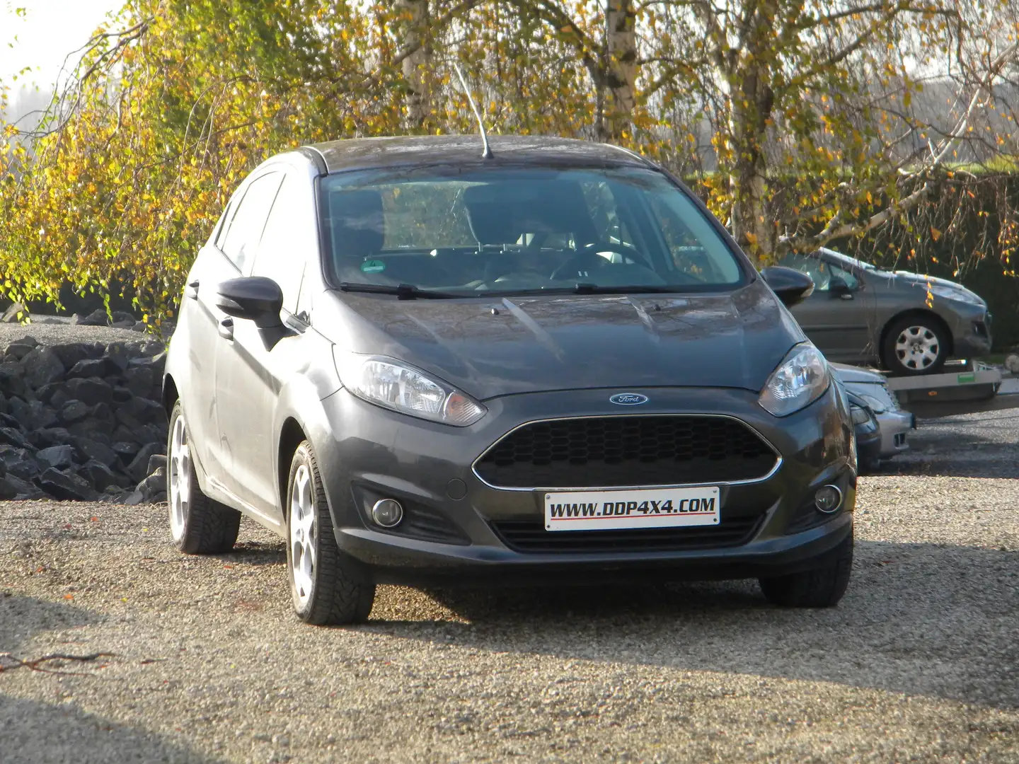 Ford Fiesta Fiesta 1.25i Trend Grau - 1