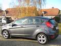 Ford Fiesta Fiesta 1.25i Trend Grau - thumbnail 16