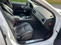 Jaguar XF Sportbrake 3.0D Premium aut /leer/20 inch /apk Weiß - thumbnail 5