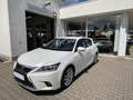 Lexus CT 200h Hybrid 1,8 Luxury Line Automatik Leder Blanc - thumbnail 14