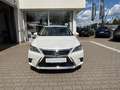 Lexus CT 200h Hybrid 1,8 Luxury Line Automatik Leder Blanc - thumbnail 30