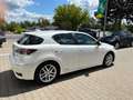 Lexus CT 200h Hybrid 1,8 Luxury Line Automatik Leder Blanc - thumbnail 5
