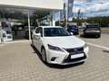 Lexus CT 200h Hybrid 1,8 Luxury Line Automatik Leder Blanc - thumbnail 3