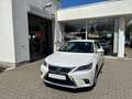 Lexus CT 200h Hybrid 1,8 Luxury Line Automatik Leder Blanc - thumbnail 2
