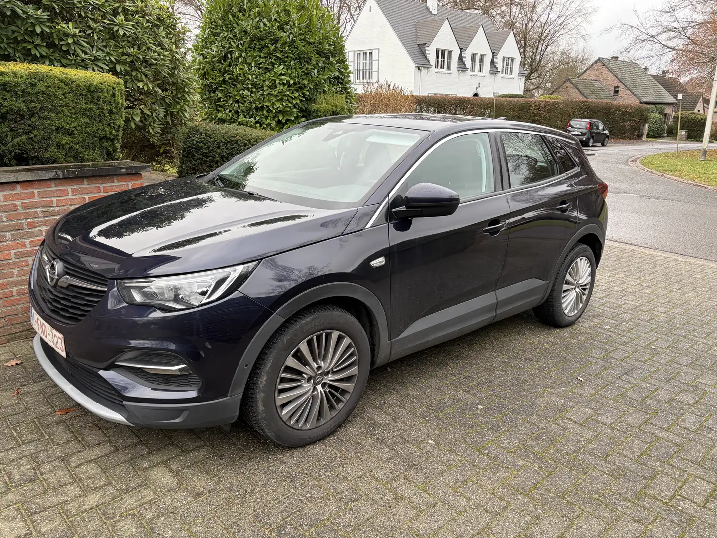 Opel Grandland X Grandland X 1.2 Turbo Design Line - 1