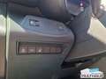 Citroen Berlingo Max XL BlueHDi 130 EAT8 LED LenkradHZG Schwarz - thumbnail 13