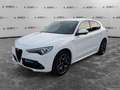 Alfa Romeo Stelvio 2.2 Turbodiesel 210 CV AT8 Q4 Veloce Weiß - thumbnail 1