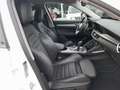 Alfa Romeo Stelvio 2.2 Turbodiesel 210 CV AT8 Q4 Veloce Weiß - thumbnail 14
