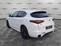 Alfa Romeo Stelvio 2.2 Turbodiesel 210 CV AT8 Q4 Veloce Weiß - thumbnail 7