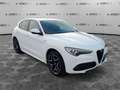 Alfa Romeo Stelvio 2.2 Turbodiesel 210 CV AT8 Q4 Veloce Weiß - thumbnail 3