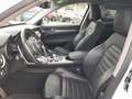 Alfa Romeo Stelvio 2.2 Turbodiesel 210 CV AT8 Q4 Veloce Weiß - thumbnail 9