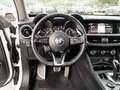 Alfa Romeo Stelvio 2.2 Turbodiesel 210 CV AT8 Q4 Veloce Weiß - thumbnail 12